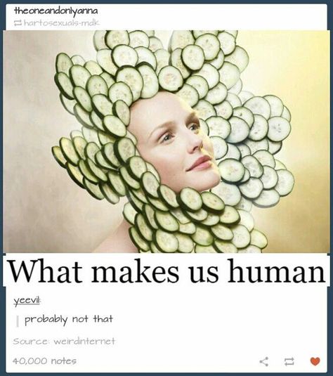 What makes us human? Six Feet Under, Ride Or Die, Laughing So Hard, What’s Going On, Tumblr Funny, Tumblr Posts, Funny Laugh, Funny Posts, Dankest Memes