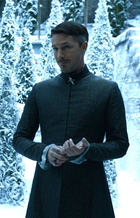 Petyr Baelish Lord Baelish, Petyr Baelish, Game Of Thrones Costumes, Aidan Gillen, Game Of Thrones Tv, Got Characters, George Rr Martin, I Love Games, Gra O Tron