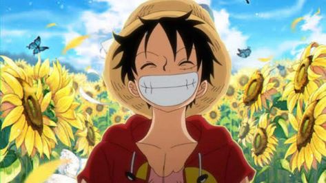 One Piece Cute, One Piece Characters, One Piece Luffy, Thumbs Up, Don't Forget, Sunflower, Character Design, One Piece, Flowers