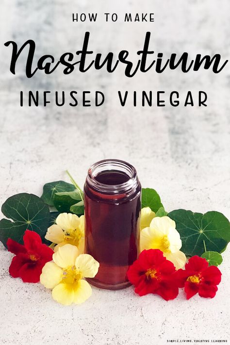 With their bright colours and lovely peppery flavour, the nasturtium flowers make a wonderful nasturtium infused vinegar that can be used in a variety of dishes. Nasturtium Flowers, Honey And Warm Water, Infused Vinegars, Tonic Drink, Baking Crafts, Water Bath Canning, Savory Sauce, White Wine Vinegar, Creative Learning