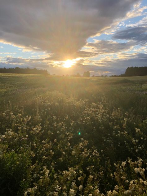 Mid Afternoon Aesthetic, Afternoon Vibes Aesthetic, Summer Afternoon Aesthetic, Afternoon Aesthetic, Afternoon Vibes, Mid Afternoon, Amazing Scenery, Afternoon Sun, Summer Afternoon