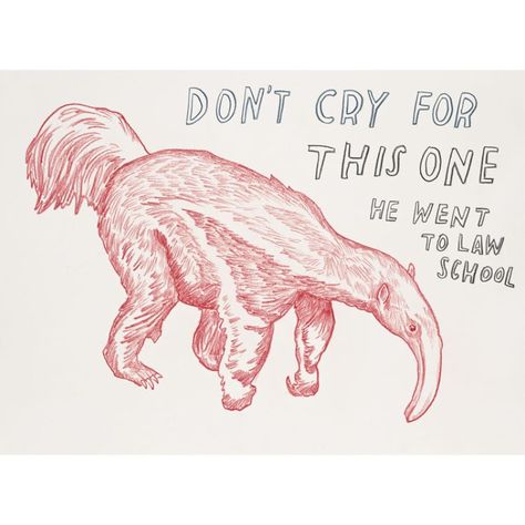 Dave Eggers, Untitled (Don't Cry for this One, He Went to Law School) Dave Eggers, Kunst Inspiration, Artist Bio, Funny Drawings, Dont Cry, Law School, Drawing Artwork, Some Words, Animal Drawings