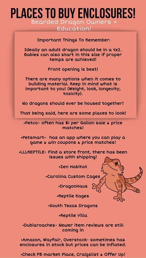 Bearded Dragon Tips, Diy Bearded Dragon Decor, Fancy Bearded Dragon, Bearded Dragon Setup, Diy Bearded Dragon Enclosure, Bearded Dragon Terrarium Ideas, Dragon Terrarium, Leopard Gecko Care, Bearded Dragon Diy