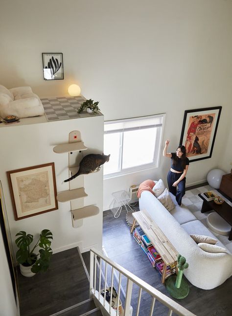 "Hiro still loves the loft, and enjoys taking a nap or watching cat TV from up above. It’s impressive how quickly he can go up and down the little wall stairs."  Credit: <a href="https://www.apartmenttherapy.com/authors/leela-cyd">Leela Cyd</a> Cat Loft, Apartment Cat, Bachelor Apartment, Wall Stairs, Bachelor Apartments, Los Angeles Apartments, A Studio Apartment, Tiny Closet, Rental Apartment