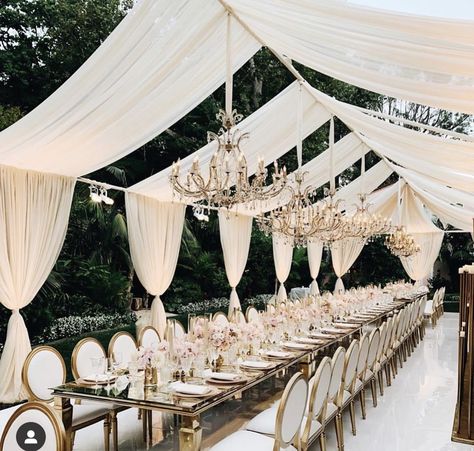 Draped Arch, Wedding Tent Draping, Gold Colour Scheme, Southern Charm Wedding, Everything Wedding, Outdoor Tent Wedding, Wedding Draping, Long Table Wedding, Draping Wedding