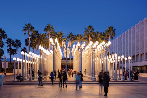 LACMA Museums In Los Angeles, Lacma Lights, Lacma Museum, Los Angeles Attractions, Urban Light, Visit Los Angeles, Los Angeles Museum, Jan Van Eyck, Philip Johnson