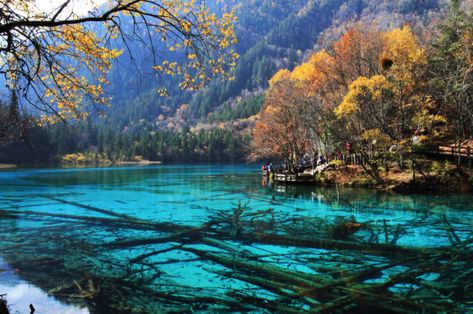 MOST BEAUTIFUL LAKE IN THE WORLD JIUZHAIGOU Countryside Photography, Sichuan China, China Travel, Natural Scenery, Beautiful Lakes, Mongolia, Asia Travel, World Heritage Sites, Brunei