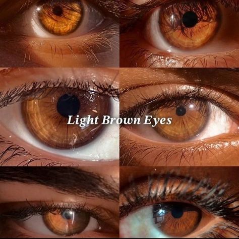 Brown Eye Color Chart Shades, Onyx Brown Eyes, Hazel Contacts On Brown Eyes, Types Of Brown Eyes, Light Brown Eyes Aesthetic, Honey Brown Eyes, Caramel Eyes, Golden Brown Eyes, Shades Of Brown Eyes