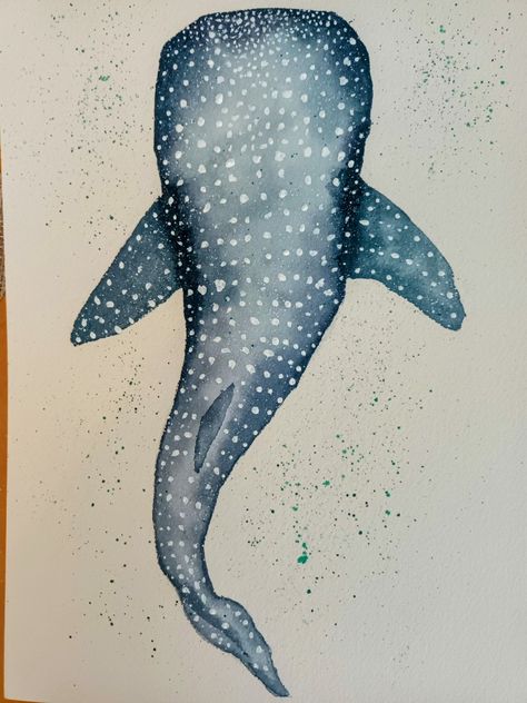 Easy Watercolor Ocean Animals, Watercolor Marine Animals, Bikinis Box Painting Whale Shark, Whale Shark Watercolor Paintings, Watercolor Paintings Sea Animals, Bikinis Box Painting Ideas Shark, Marine Life Painting Easy, Watercolor Art Ocean Animals, Marine Animal Painting