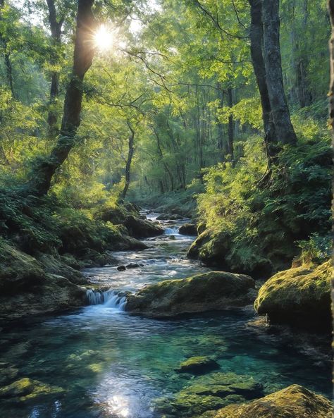 Forest Stream Photography, Leaves On A Stream, Horizontal Nature Photography, Forest Meets Ocean, River Landscape Photography, Beauty Of Nature Photography, Forest Landscape Photography Horizontal, Summer In The Woods, Water Pictures Photography