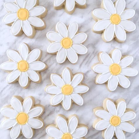 Daisy Royal Icing Cookies, Pastel Flower Cookies, Daisy Baby Shower Cookies, Daisy Sugar Cookies Royal Icing, Daisy Bachelorette Party, Daisy Cookies Decorated, Daisy Sugar Cookies, Fondant Biscuits, Daisy Cookies