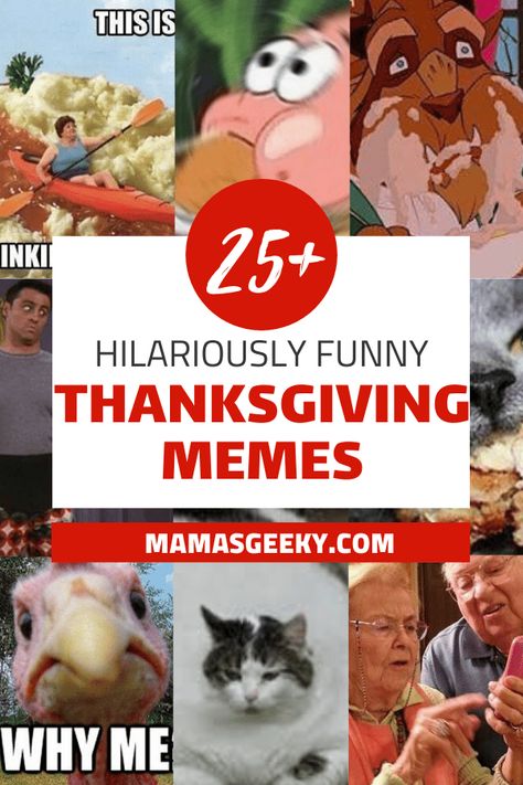 Thanksgiving Memes Humor, Funny Thanksgiving Meme, Happy Thanksgiving Meme, Vintage Funny Photos, Funny Turkey Pictures, Funny Thanksgiving Images, Happy Thanksgiving Memes, Funny Thanksgiving Pictures, Funny Thanksgiving Memes