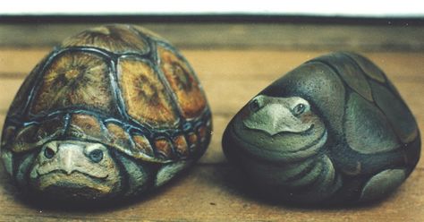 Turtle Rocks, Turtle Painted Rocks, Painted Rock Ideas, Painted Turtle, Rocks Painting, Turtle Rock, Paint Rocks, Painted Rock Animals, Rock And Pebbles