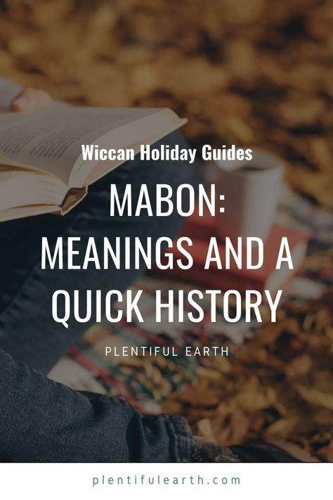 Mabon Cleansing, Mabon History, Witches Wheel, Crafty Witch, Oktoberfest Germany, Ancient Ireland, Wiccan Magic, Wheel Of The Year, The Witches