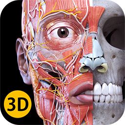 ANATOMY 3D ATLAS - Anatomy 3D Atlas - Human Anatomy Apps Anatomy Apps, Atlas Anatomy, Muscle Names, Gross Anatomy, Ram Image, Cerebrospinal Fluid, Anatomy Models, Skeletal System, Musculoskeletal System