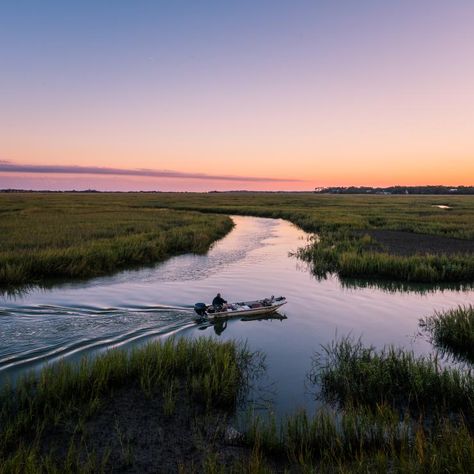 Saint Simons Island Georgia, Sea Island Georgia, St Simons Island Georgia, Saint Simons Island, Georgia Coast, St Simons Island, Shark Fishing, St Simons, Unique Restaurants