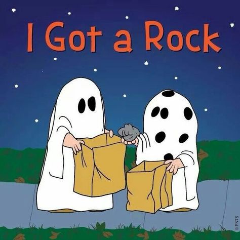 Peanuts. I got a Rock! The Great Pumpkin Charlie Brown, It's The Great Pumpkin Charlie Brown, I Got A Rock, Great Pumpkin Charlie Brown, Sally Brown, Charlie Brown Halloween, It's The Great Pumpkin, Peanuts Halloween, The Great Pumpkin