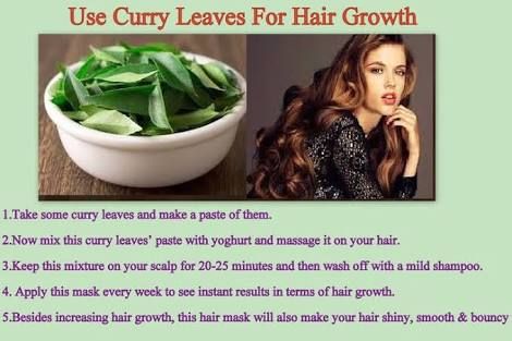 Curry leaves for hair growth Curry Leaves Benefits, Curry Leaves For Hair Growth, Homemade Beauty Recipes, Hair Care Remedies, Clear Skin Face, Natural Beauty Care, Natural Teeth Whitening, Diy Hair Care, Natural Health Tips