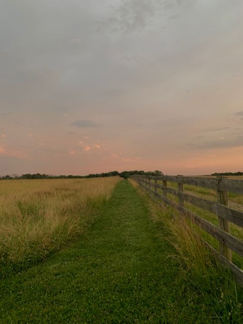 County Side Aesthetic, Summer Cottage Core Aesthetic, European Summer Countryside, Nature Farm Aesthetic, Forest Farm Aesthetic, Land Astethic, New Jersey Nature, Devon Core Aesthetic, Little Farm Aesthetic