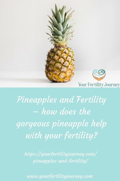 IVF and pineapples go hand in hand. FInd out exactly why pineapples are linked to IVF and fertility Fertility Nurse, Pineapple Core, Embryo Transfer, Natural Fertility, Get Pregnant Fast, Pineapple Images, Polycystic Ovaries, Pregnancy Quotes, Trying To Conceive