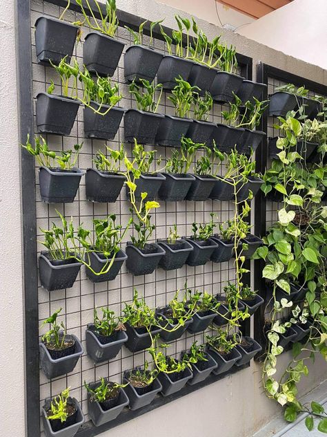 Pothos Wall, Solarium Ideas, Garden Wall Planter, Indoor Greenhouse, Greenhouse Ideas, Vertical Gardening, Door Gate Design, Farm Shop, Door Gate