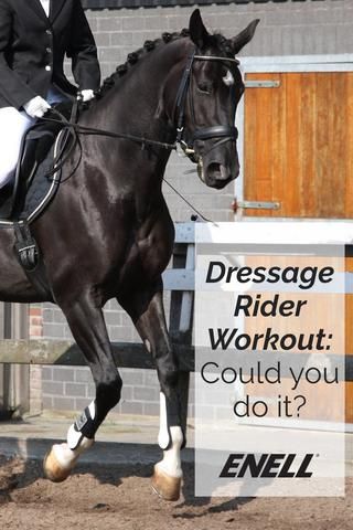 Dressage rider workout - could you do this?! hint - it's amazing for your core #workout #fitness #dressage #equestrian