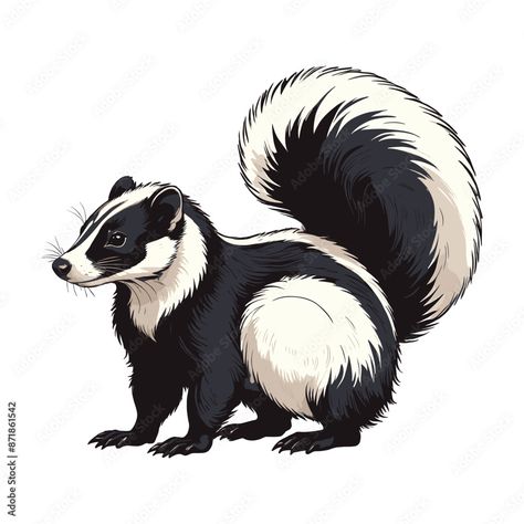 Hand Drawn Skunk Vector Illustration Skunk Drawing Simple, Skunk Illustration, Skunk Cartoon, Skunk Drawing, Baby Skunks, Kitten Drawing, Sloth, Drawing Ideas, Adobe Stock