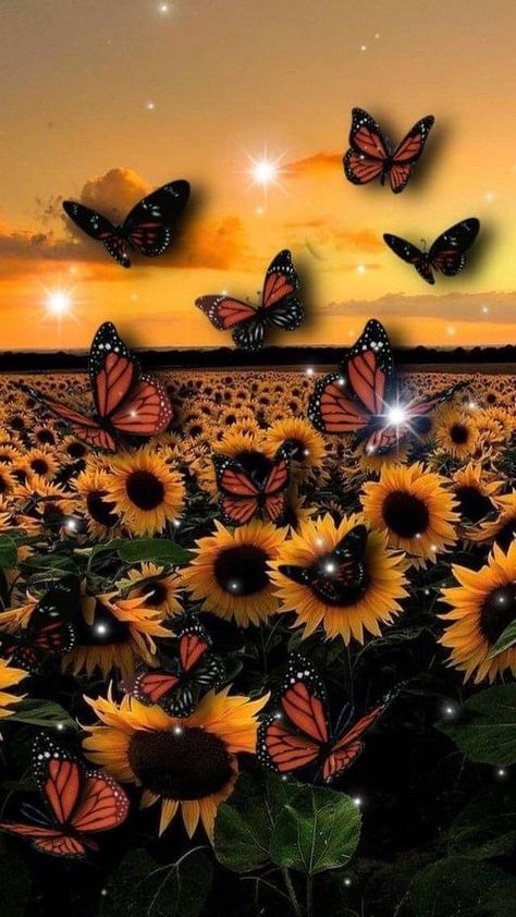 Screen Savers Sunflowers, Butterfly Sunflower Wallpaper, Sunflower Images Pictures, Sunflower And Butterfly Wallpaper, Butterflies And Sunflowers, Butterfly And Sunflower, Painting Ideas 2023, Sunflower Ideas, Sunflowers Decor