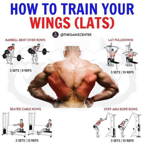 ⭐ FITNESS I NUTRITION I DIET ⭐ on Instagram: “🦅 Which Is Your Favourite WINGS Exercise? 🦅 workout made by @thegainzcenter⠀⁣⁣ ⁣⁣ 📥 Be sure to save this workout for later!⁣⁣ ⁣⁣…” Big Back Workout, Back Workout Bodybuilding, Wings Workout, Gym Back Workout, Back Workout Routine, Good Back Workouts, Gym Workout Chart, Workout Routine For Men, Workout Training Programs