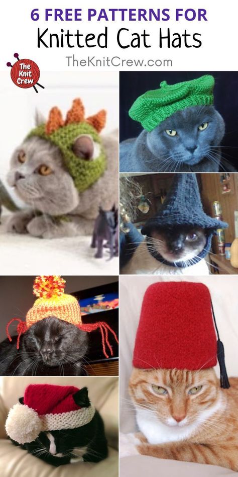 Knitted Cat Clothes, Knitted Hat For Cat Pattern Free, Free Knitting Patterns For Cats, Loom Knit Cat Hat, Knitting For Cats, Cat Knit Hat, Knit Cat Hat Pattern Free, Cat Hat Pattern Free, Cat Clothes Diy Free Pattern