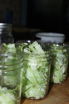 How to Can Cabbage : 5 Steps (with Pictures) - Instructables Pressure Canning Cabbage Recipes, Canning Cabbage Pressure, Canning Pickled Cabbage Recipe, How To Preserve Fresh Cabbage, Pickled Cabbage Canning, Canning Cabbage Recipes Water Bath, Canning Cabbage Water Bath, Cabbage Canning Recipes, Pressure Canning Cabbage