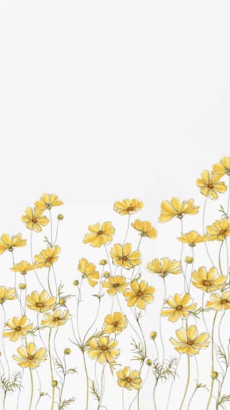 Wallpaper Backgrounds Yellow Aesthetic, Flower Background Yellow, White And Yellow Flowers Aesthetic, Daffodil Wallpaper Iphone, Wildflower Lockscreen, Flower Drawing Aesthetic Wallpaper, Yellow Aesthetic Pastel Wallpaper, Light Yellow Wallpaper Aesthetic, Yellow Flower Aesthetic Wallpaper