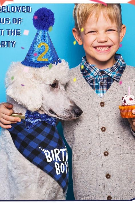 Dog Birthday Party Supplies Birthday Boy Girl Cake Bandana Triangle Scarf Clothes Shirt Cute Dog Hat Dog Bow Tie Collar with 0-8 Numbers for Dog Puppy 1st Birthday Party Outfit Puppy 1st Birthday, Scarf Clothes, Birthday Elegant, Clothes Shirt, Dog Collar Bow Tie, Dog Birthday Party, Birthday Party Outfits, Dog Bow Tie, Tie Collar