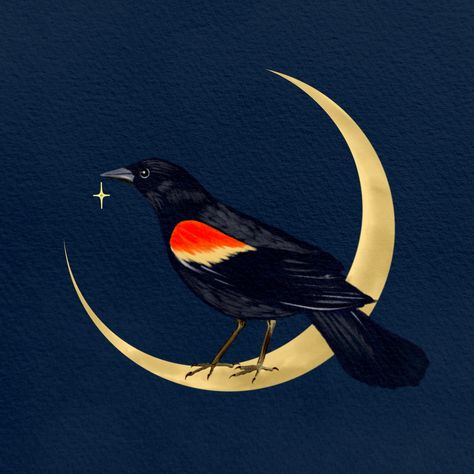 Fake spring, followed by a snowstorm this weekend. Wouldn’t live anywhere else! Sharing another look at my red winged blackbird illustration. I have prints available on my 🕸️si+e! There are so many other pieces I want to work on, and make and list and I don’t really use social media to complain about things but I just gotta say - I am exhausted right now. Anyone else? 😴 Red Winged Blackbird Drawing, Red Winged Blackbird Art, Painted Archway, Blackbird Illustration, Red Wing Black Bird, Fox Glove, Red Winged Blackbird, Blackbird Art, Red Wing Blackbird