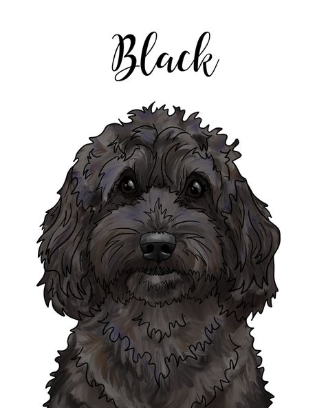 Labradoodle Drawing, Painting Of Dog, Goldendoodle Black, Electronic Drawing, Poodle Drawing, Illustration Software, White Poodle, Doodle Puppy, Collage Book