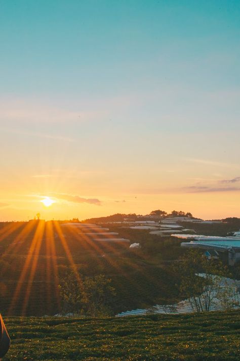 Sunrise Real Pic, Real Pic, Photos Hd, Man Photo, Photography Portfolio, Hd Images, Golden Hour, Free Photos, Agriculture