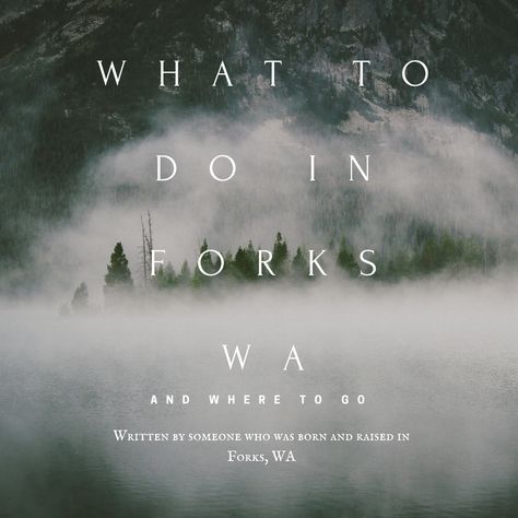 Washington State Forks, Things To Do In Forks Washington, Forks Washington Aesthetic, Forks Washington Twilight Aesthetic, Forks Washington Twilight, San Francisco Road Trip, Forks Washington, Pch Road Trip, Short Article