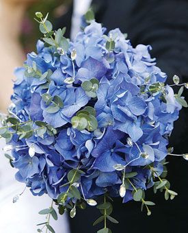 blue bouquet Blue Hydrangea Bouquet, Hydrangea Bouquet Wedding, Bridal Bouquet Blue, Bloom Flowers, Eucalyptus Bouquet, Hydrangea Centerpiece, Modern Wedding Flowers, Something Blue Bridal, Blue Wedding Bouquet