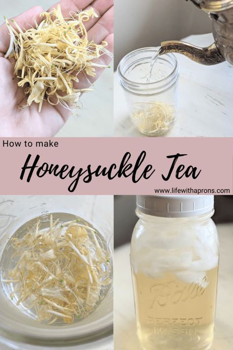 Honeysuckle Tea, Homesteading Tips, Foraging Recipes, Foraged Food, Homemade Tea, Winter Tea, Herbal Recipes, Tea Diy, Herbal Apothecary