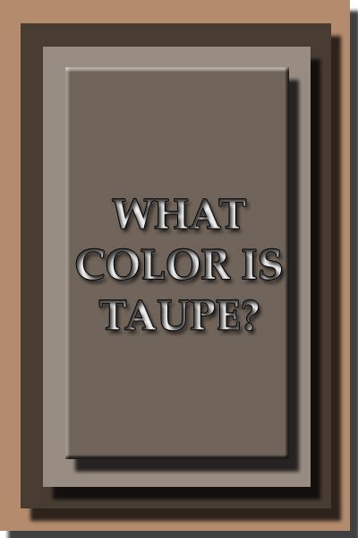 What color is Taupe? Black And Taupe Color Palette, Colors That Go With Taupe, What Colors Go With Taupe, Taupe Color Combinations, Taupe Outfit Color Combinations, Taupe Rooms, Psychology Meaning, Taupe Palette, Taupe Color Schemes