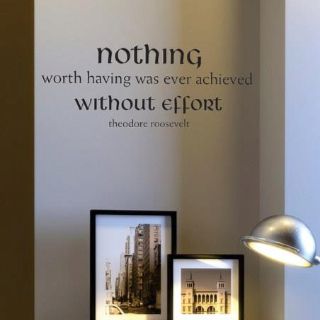 I would love to have this written in a office space with my degrees and diplomas hanging around it :-) Diploma Wall, Teddy Roosevelt Quotes, Diploma Display, Theodore Roosevelt Quotes, Degree Wall, Roosevelt Quotes, Award Display, Teddy Roosevelt, Quotes With Images