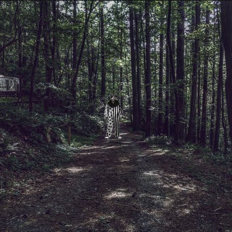 Clown in the woods Scary Clown Core Aesthetic, Horror Clown Aesthetic, Clown In A Cornfield Aesthetic, Creepy Clown Aesthetic, Creepy Scenery, Quiet Coyote, Creepy Photoshoot, Circus Horror, Pennywise Cosplay