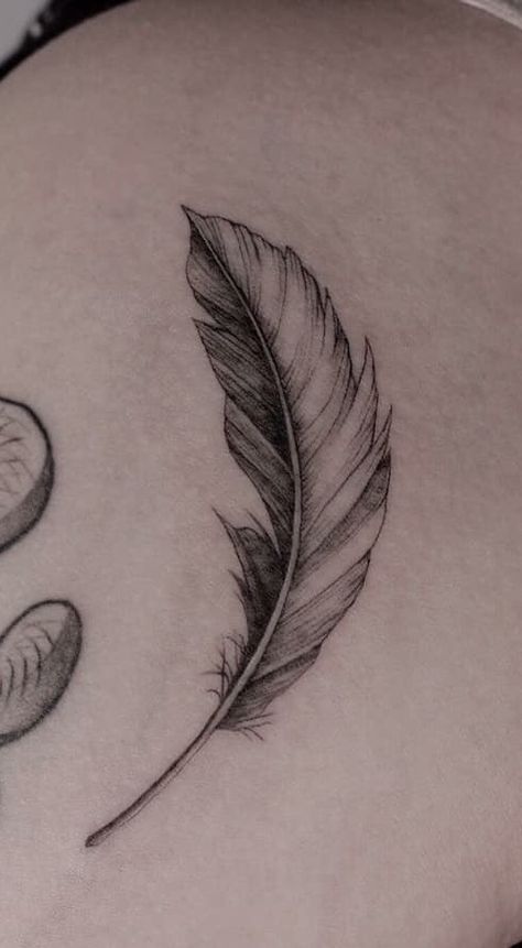 Curved Feather Tattoo, Fineline Feather Tattoo, Feather With Flowers Tattoo, Feather Pen Tattoo, Lotusblume Tattoo, Delicate Flower Tattoo, Black Line Tattoo, Joker Tattoo Design, Latest Tattoo Design