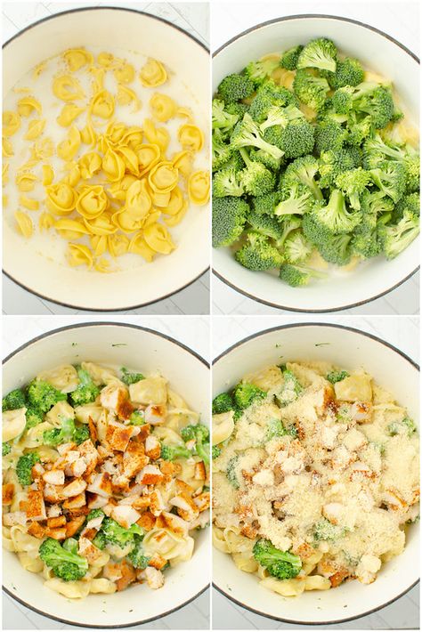 How to make chicken broccoli tortellini Cheesy Chicken Broccoli Tortellini, Broccoli Chicken Tortellini, Tortellini Chicken Broccoli Recipes, Chicken Broccoli Tortellini Crockpot, Cheesy Broccoli Tortellini, Chicken Brocolli Tortellini, Tortellini Recipes Broccoli, Broccoli Tortellini Recipes, Chicken Broccoli Pasta Crockpot Recipes