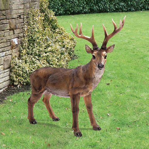 Design Toscano JQ7105 Big Rack Buck Deer Garden Decoy Animal Statue, 71 cm, Polyresin, Full Color Deer Garden, Deer Sculpture, Stone Garden Statues, Majestic Deer, Deer Statues, Stag Deer, Buck Deer, Deer Silhouette, Gnome Statues