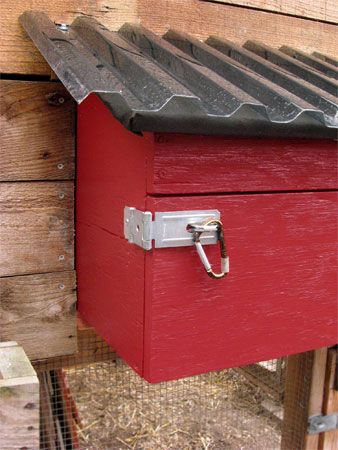 Predator-Proof Nesting Box Latch Movable Chicken Run, Chicken Run Roof, Raising Chickens For Beginners, Nesting Boxes Diy, Chickens For Beginners, Nest Boxes, Chicken Nesting Boxes, Chicken Coup, Coop Design