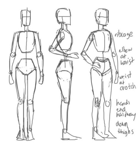 Drawing Essentials, Art Tut, Drawing Refrences, Reference Ideas, Drawing Body Poses, Human Anatomy Drawing, Body Drawing Tutorial, Anatomy Sketches, Body Reference Drawing