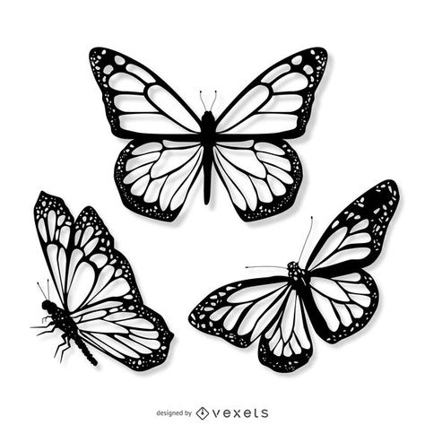 3 realistic butterfly illustration set #AD , #ad, #AFFILIATE, #butterfly, #illustration, #set, #realistic Butterfly Drawing Images, Butterfly Line Drawing, Voll Arm-tattoos, Tattoo Stencil Designs, Monarch Butterfly Tattoo, Simple Butterfly Tattoo, Butterfly Tattoo Stencil, Butterfly Outline, Butterfly Stencil