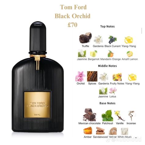 Tom Ford Black Orchid, Mexican Chocolate, Fragrances Perfume Woman, Black Currants, Black Orchid, Mandarin Orange, Ylang Ylang, Fragrances Perfume, Smell Good