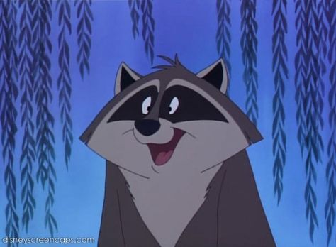 Meeko (Pocahontas' Raccoon) Meeko Pocahontas, Disney Sidekicks, Disney Sleeve, Animation Stop Motion, Disney Wiki, Disney Emoji, Scenic Wallpaper, Disney Pocahontas, Disney Art Drawings